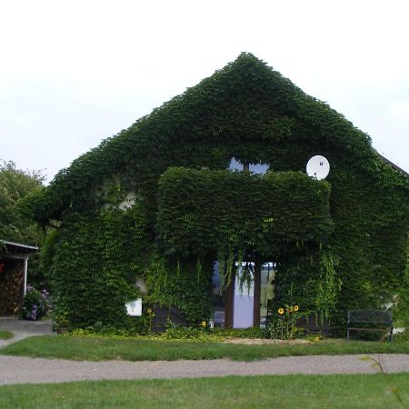 Dworek Lachowicze Grzegorzewice Exterior foto